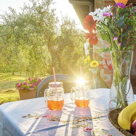 فيلا Tuscan Roots La Croce المظهر الخارجي الصورة